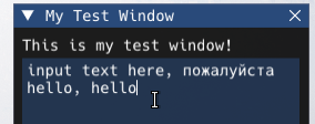 ImGui Text Input